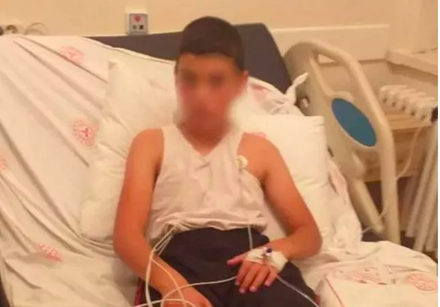 Türkiye diken üstünde! Kuduz vakasını ilk kez anlattı; çocuklar eve geldiğinde... - Resim: 0