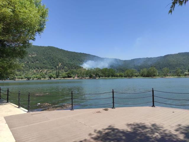 İzmir'in Ödemiş ilçesinde de orman yangını çıktı! Ekipler müdahale ediyor - Resim: 0