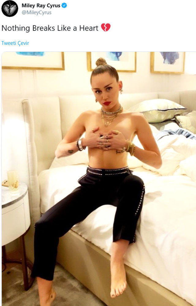Miley Cyrus yeni albümünü çıplak fotoğrafıyla tanıttı - Resim: 3