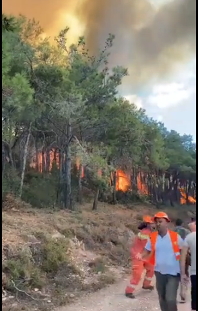 Heybeliada'da yangın çıktı! Herkesin en büyük korkusu gerçek oldu işte son durum - Resim: 4