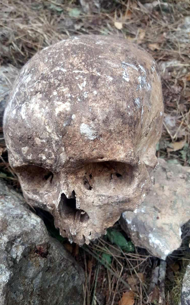 Mersin'de ormanlık alanda 2 kafatası ve kemik parçaları bulundu - Resim: 0