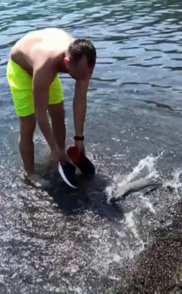 Prof. Dr. Gökoğlu çarpıcı uyarı: Denizde, kıyıda balon balığı görmeye alışmalıyız - Resim: 0