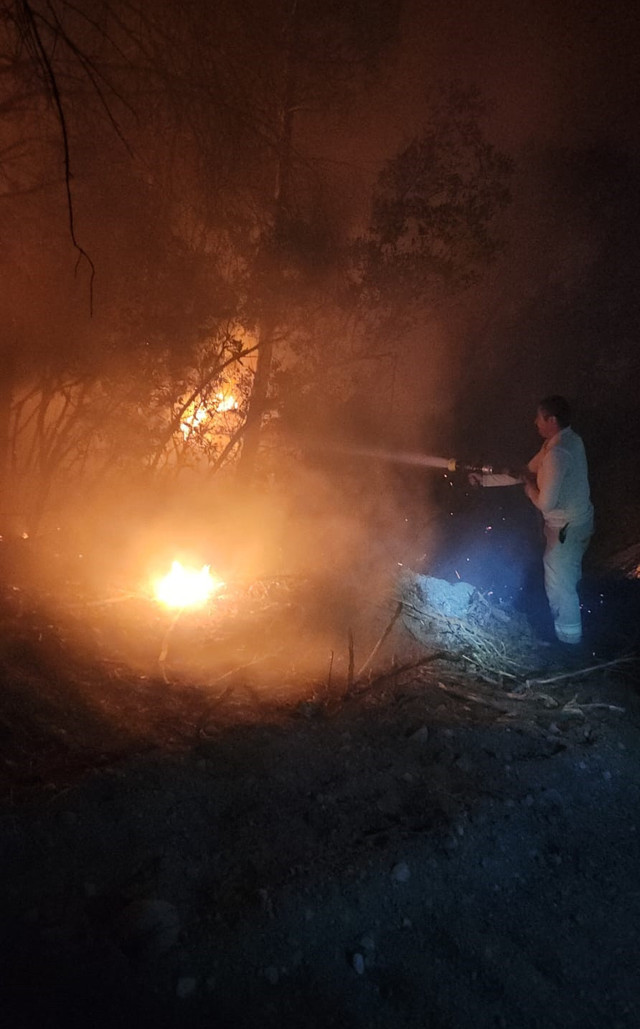 İzmir'de orman yangını çıktı! Helikopter ve uçaklar havadan ekipler yerden müdahale ediyor - Resim: 0