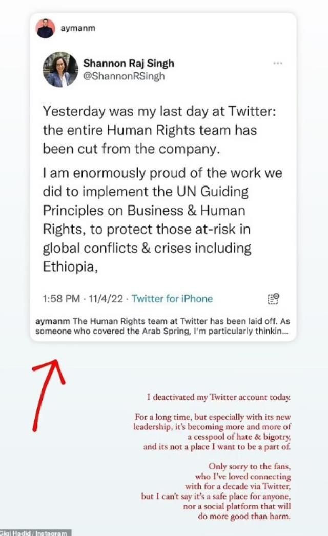 Ünlü modelden Elon Musk'ın satın aldığı Twitter'a tepki! "Nefret çöplüğüne döndü!" - Resim: 3