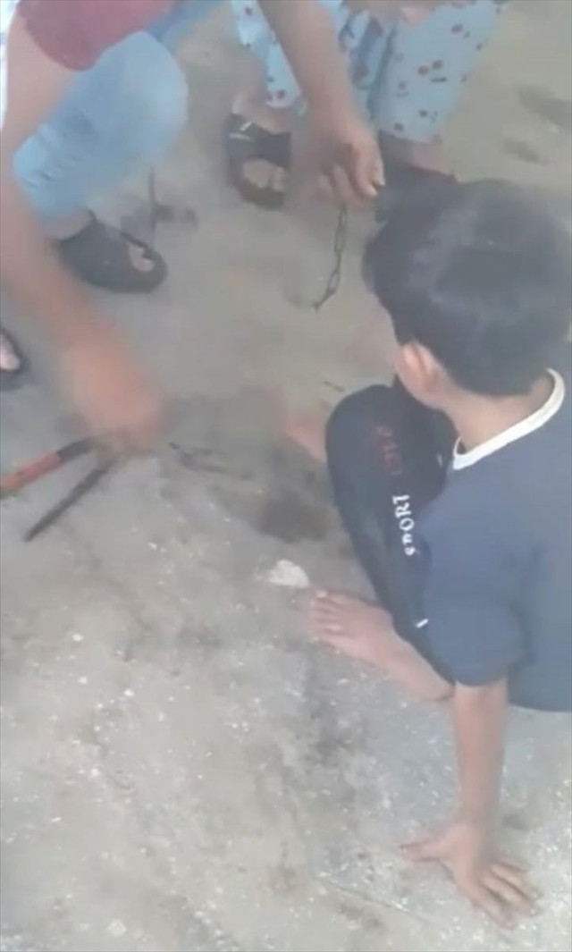 Bursa'daki bu görüntüler vicdanları yaraladı - Resim: 0