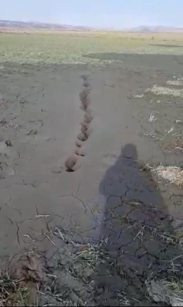 Deprem sonrası tedirgin eden görüntü: Elazığ'da ikinci zemin sıvılaşması vakası! - Resim: 3