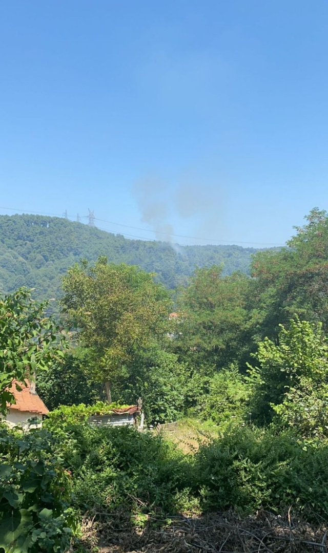 Beykoz'da ormanlık alanda yangın çıktı - Resim: 1