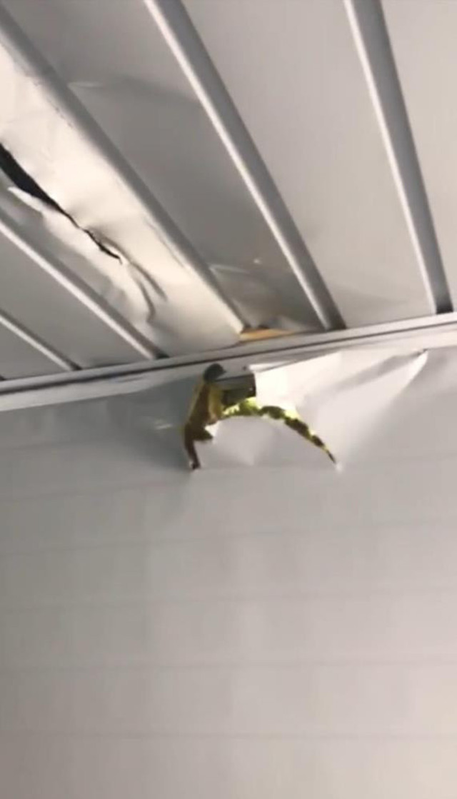 Malatya'da ilginç olay: Evde bomba gibi patlayan tüp, konteyneri deldi geçti! - Resim: 1