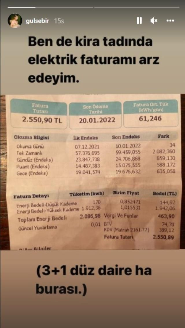 Gülse Birsel'in elektrik faturasını gören inanamadı! Twitter karıştı: Evde yapay Güneş denemesi mi yapıyorsun? - Resim: 3