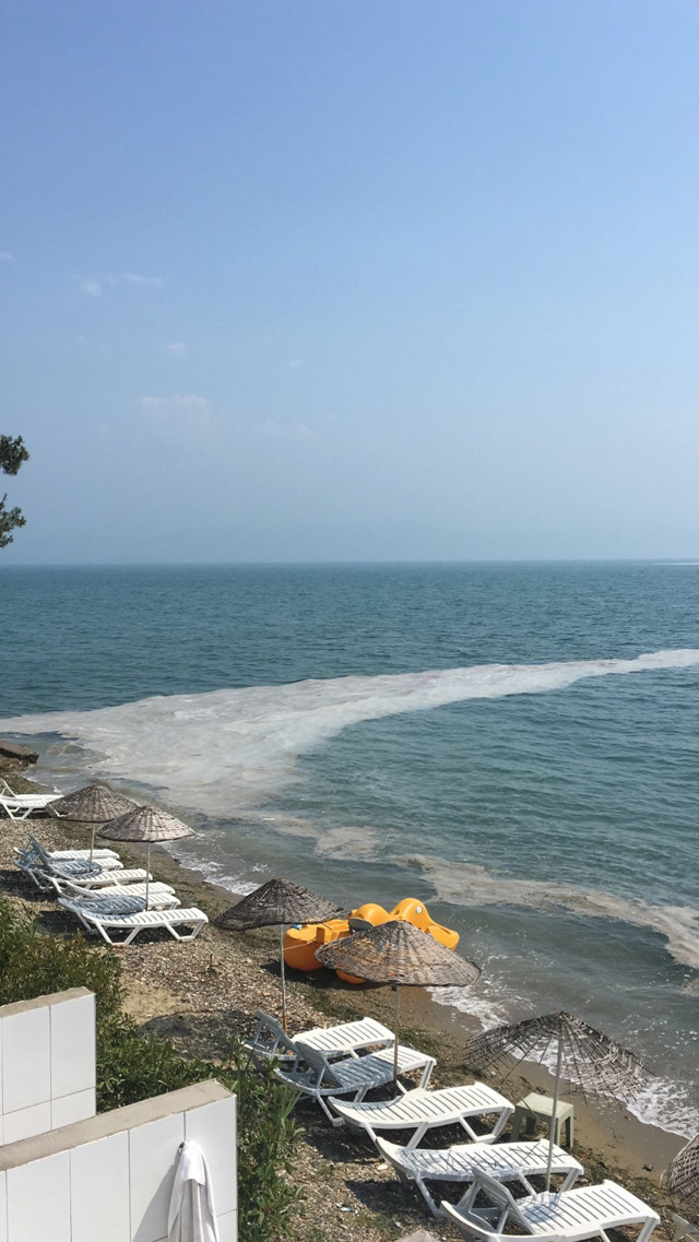 Bursa'nın Gemlik sahillerinde yine müsilaj görüldü - Resim: 0