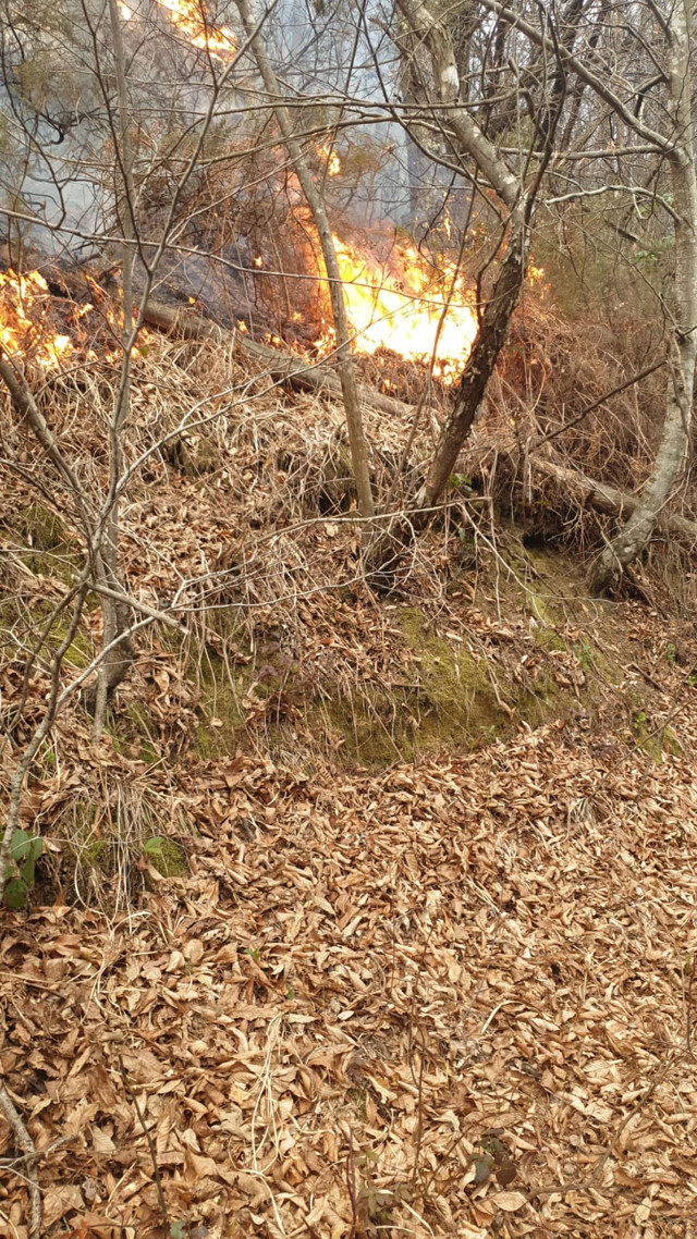 Düzce'de fındık bahçesindeki otları yakmak isterken kendisi yandı - Resim: 1