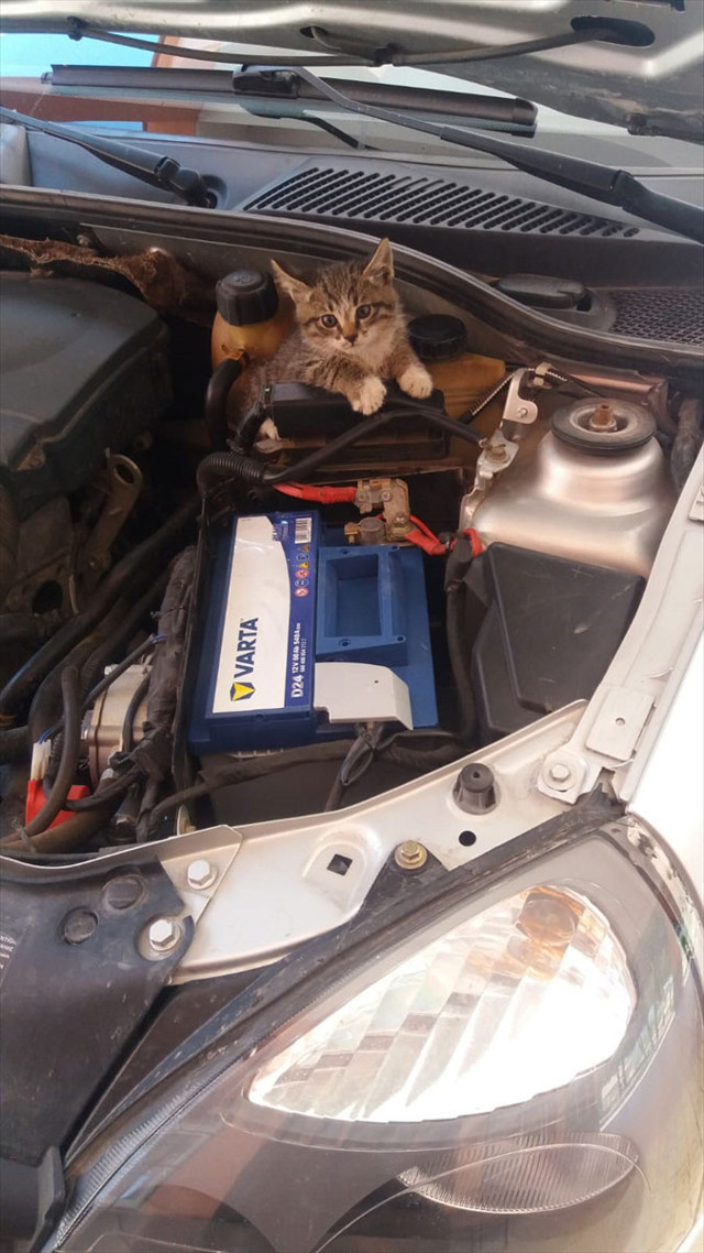 Otomobilin motor kısmında garip sesler duydu 20 kilometre yolculuk yaptı - Resim: 0