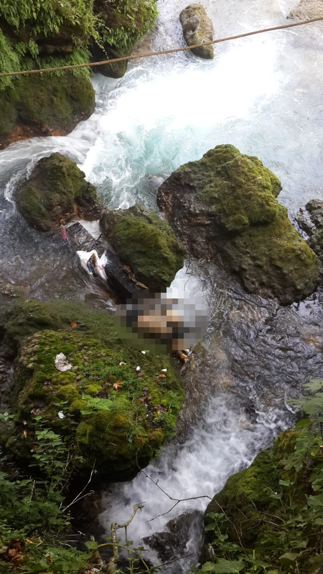 Mersin'de kızlarına kiraz götürüp kaybolan adamdan 55 gün sonra acı haber! - Resim: 0