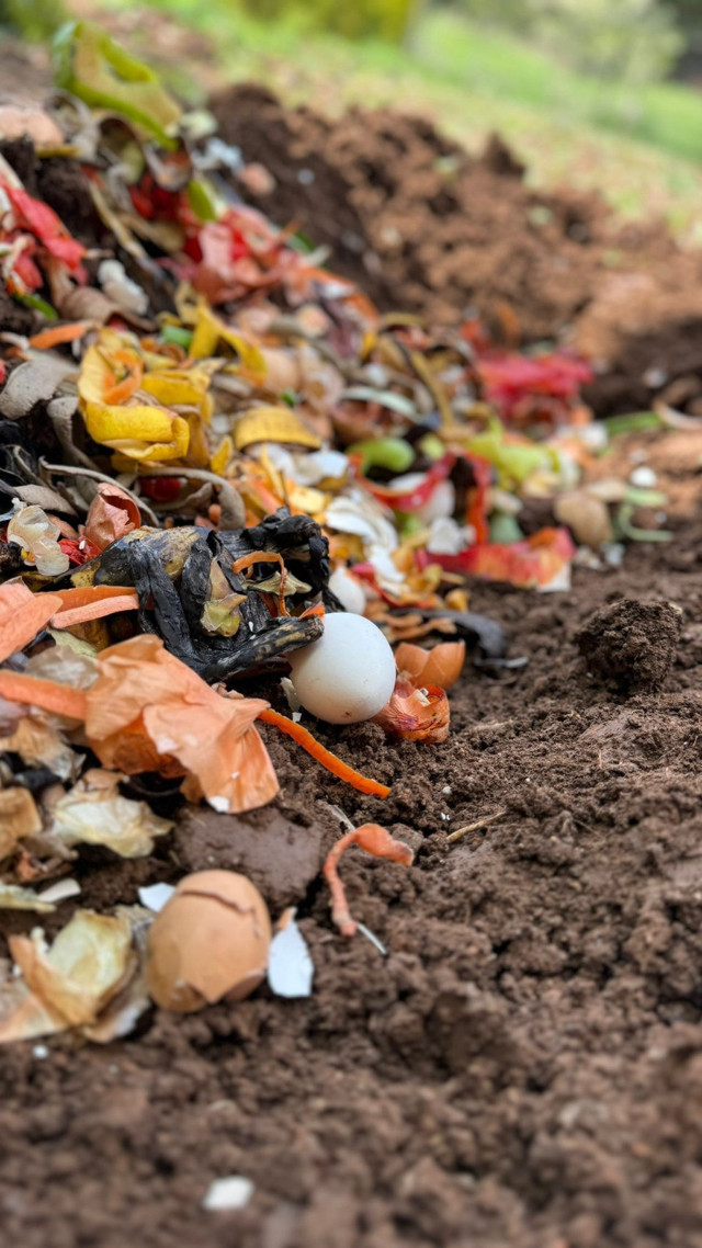 Uşak Üniversitesi öğrencilerinden anlamlı çevre projesi - Resim: 4