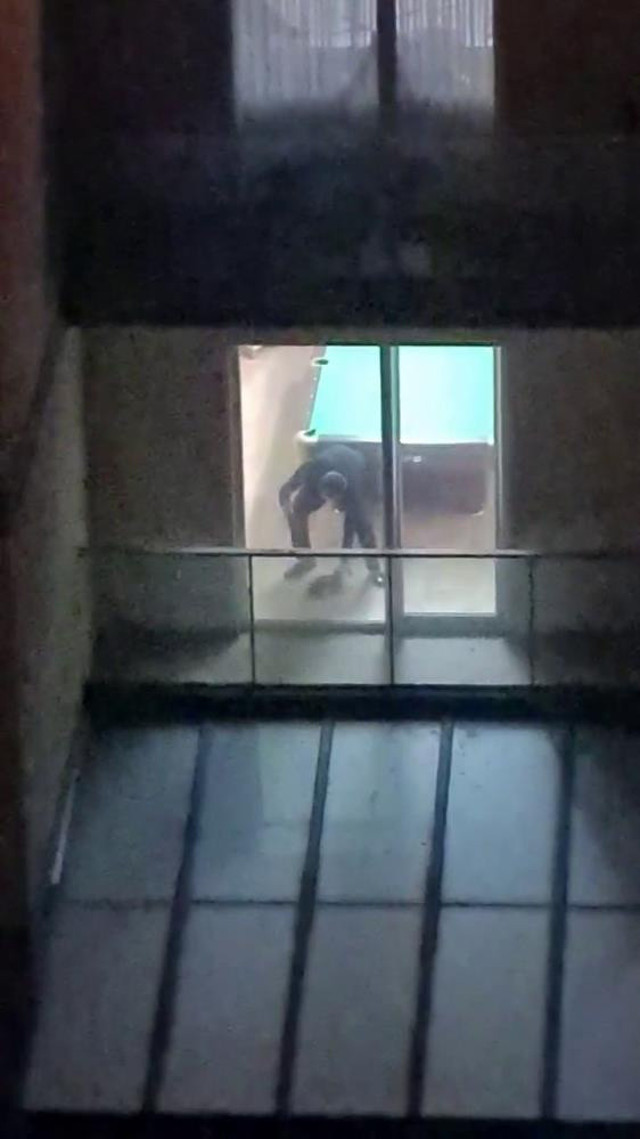 Esenyurt'ta köpeğe şiddet: Tasma ipiyle defalarca vurdu, hayvanseverlerin elinden zor kurtuldu - Resim: 0