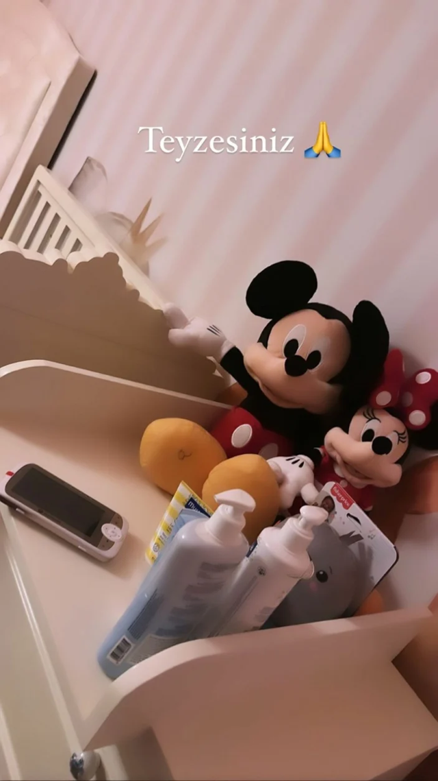 Selin Ciğerci 'Anne oldum' dedi! Bakanlık harekete geçti: Soruşturma açılıyor - Resim: 1