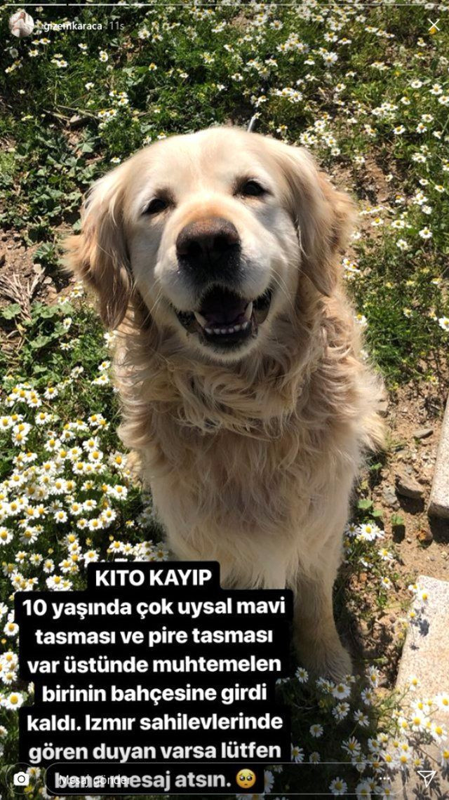 Gizem Karaca yeniden yardım istedi! 'Bunu bir daha kaldıramam!' - Resim: 3