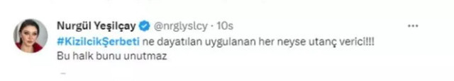 Kızılcık Şerbeti yayından kaldırıldı! Ünlü isimler RTÜK kararına sert tepki gösterdi: “Kan kusup Kızılcık Şerbeti içmek..." - Resim: 4