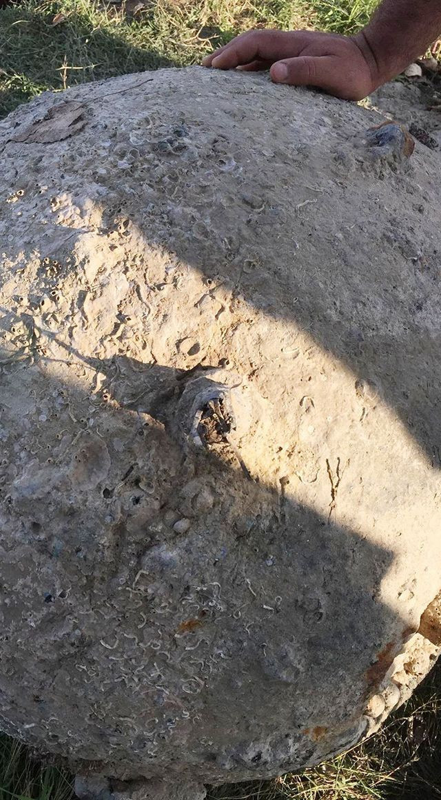 Sakarya'da bulunan Rus deniz mayını imha edildi - Resim: 3