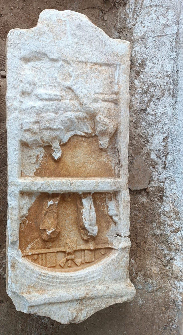 İzmir'de ceviz bahçesini işlerken iş makinesine takıldı - Resim: 0