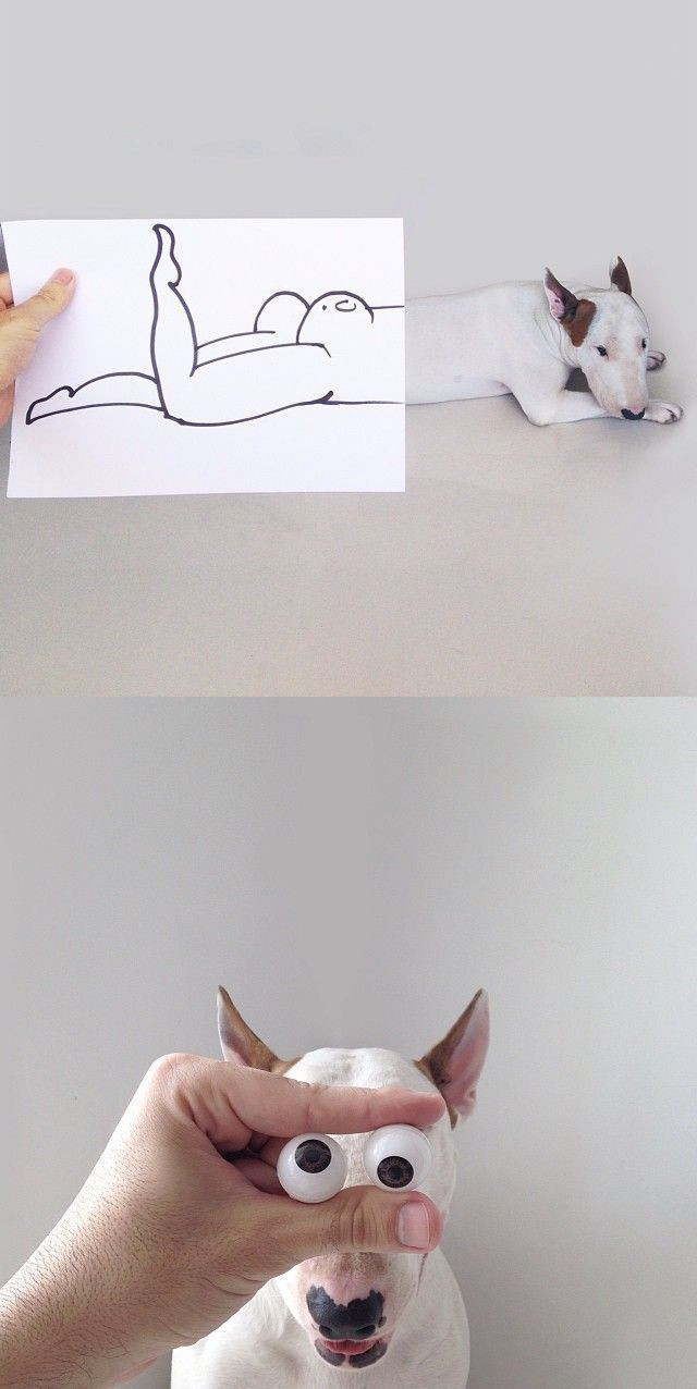 Günün en çok paylaşılan 50 fotoğrafı - Resim: 4