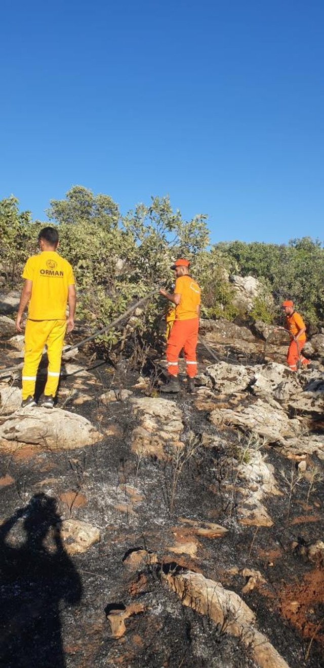 Diyarbakır'da iki ayrı anız yangını ormanlık alana sıçradı - Resim: 1