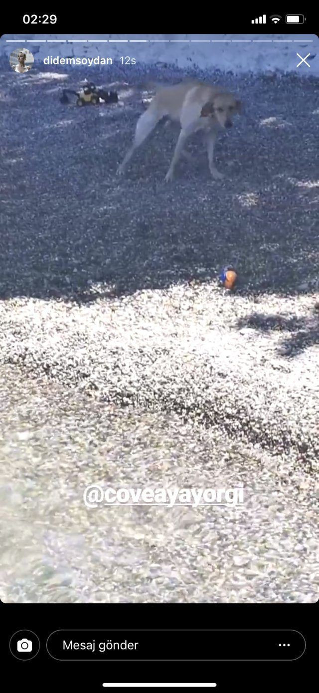 'Tostçu' Didem Soydan ünlü şarkıcının oğluyla aşk mı yaşıyor? Dikkat çeken detay - Resim: 4