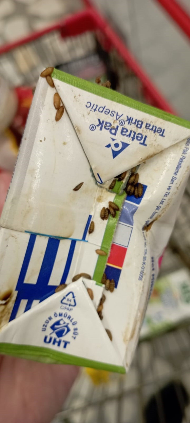 Markette mide bulandıran görüntü: Ambalajı kurtlanmış süt ürünü çıktı - Resim: 1