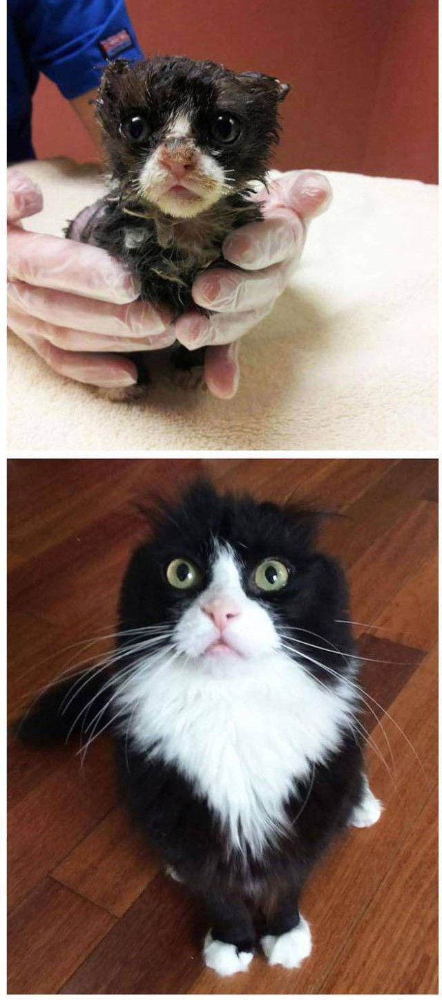 Bir de son halini görmelisiniz! - Resim: 3