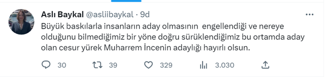 Aslı Baykal, Muharrem İnce'yi 'cesur yürek' ilan etti! Baykal milletvekili adayı oldu mu? - Resim: 0