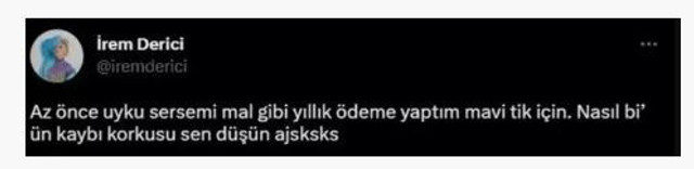 İrem Derici, Elon Musk'a isyan etti: Dünya para verdim - Resim: 0