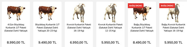 Carrefour küçükbaş kurbanlık fiyatları 2023 kıvırcık koç kaç paradan başlıyor? - Resim: 0