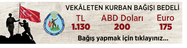 Kurbanlık fiyatları 2019 Migros, A101, Carrefoursa kaç para büyükbaş fiyat listesi - Resim: 3
