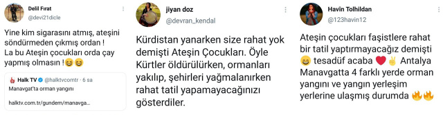 Manavgat'taki yangını PKK mı çıkardı? - Resim: 0