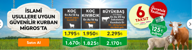 Migros küçükbaş kurbanlık fiyatı koç/koyun kaç para? - Resim: 0