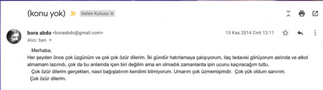 Ünlü yazar Hasan Ali Toptaş'ın tacizleri ifşa oldu! 20 kadın konuştu Toptaş özür diledi - Resim: 2