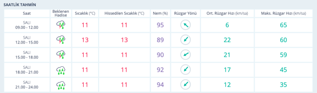 Adana hava durumu fena meteoroloji saatlik hava durumu tahmini - Resim: 0