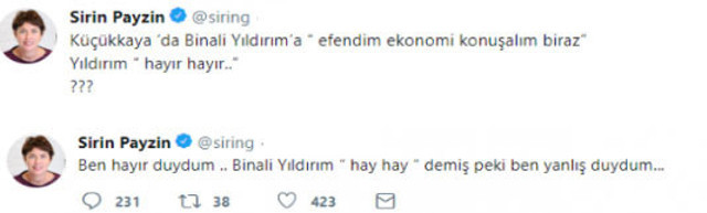 Şirin Payzın baltayı taşa vurdu! O tweeti sildi - Resim: 0