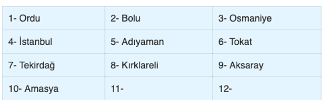 13 Haziran evde bakım maaşı yatan iller TC ile sorgulama - Resim: 0