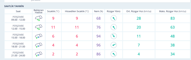 Kayseri'de okullar tatil mi şiddetli rüzgar vurdu valilik duyurdu - Resim: 1