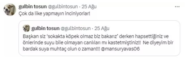 Gülbin Tosun kovulmanın eşiğinde! Mansur Yavaş'la ilgili paylaşımı sonrası zorunlu izne çıkarıldı - Resim: 1