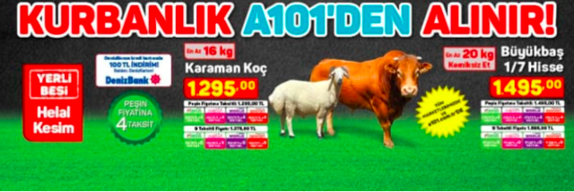 A101 kurbanlık fiyatları 2020 canlı koç kurbanlık fiyatları kaç para? - Resim: 0