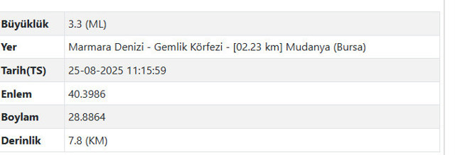 Marmara Denizi'nde deprem! İstanbul'da da hissedildi, AFAD'dan açıklama geldi - Resim: 0