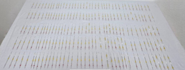 201 tüp kobra yılanı zehri ele geçirildi! Piyasa değerini duyan şoke oldu - Resim: 0