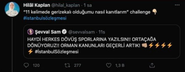 Hilal Kaplan, İstanbul Sözleşmesi paylaşımı nedeniyle Yasak Elma oyuncusu Şevval Sam'a "gerizekalı" dedi - Resim: 0