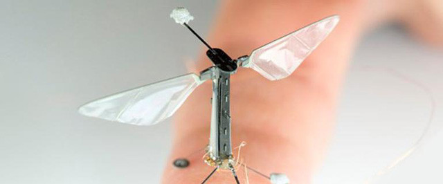 Suya dalıp çıkabilen robot arı geliştirildi! - Resim: 4