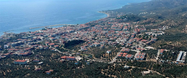 Kaz Dağları yakınında villa yapımı için 2,5 milyon zeytin ağacı kesildi - Resim: 0