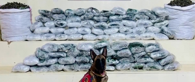 Zehir tacirlerine büyük darbe! Bakan Yerlikaya açıkladı: 1 ton 971 kilogram uyuşturucu ele geçirildi - Resim: 0