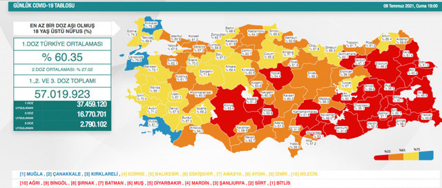 Sağlık Bakanı Fahrettin Koca aşılama haritasında mavi olan iki şehri tebrik etti - Resim: 0