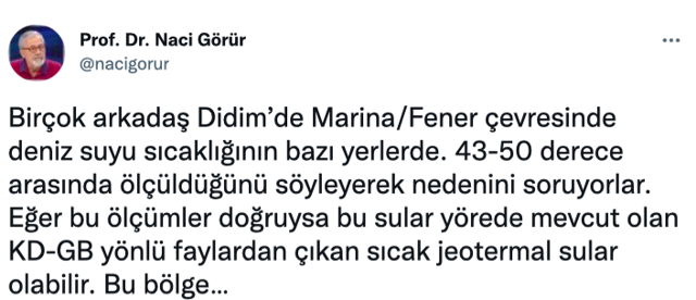 Deprem sonrası ortaya çıktı vatandaşlar korktu! Prof. Dr. Naci Görür'den açıklama - Resim: 0